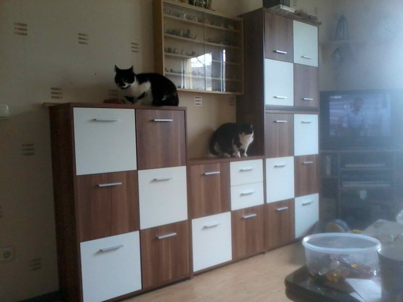 2013-03-08 16.21.16.jpg